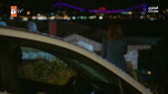 Brother 20
